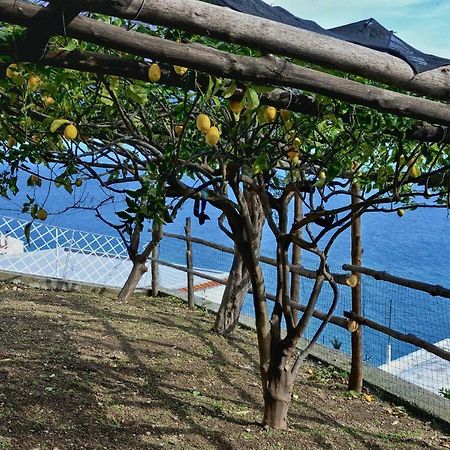 Villa Chez Amélie à Amalfi Extérieur photo